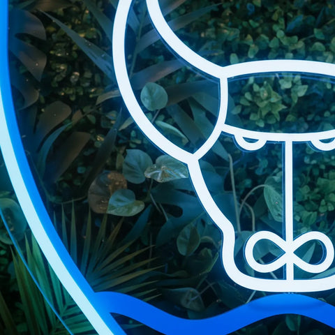 Oxford United Neon Sign