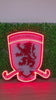 Middlesbrough Leuchtreklame 2