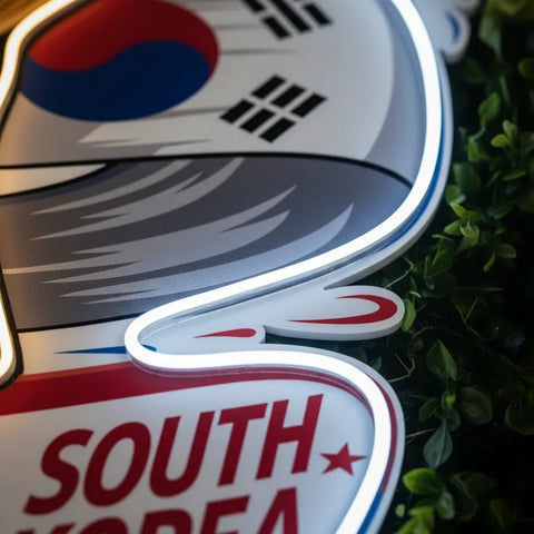South Korea National Team Neon Sign