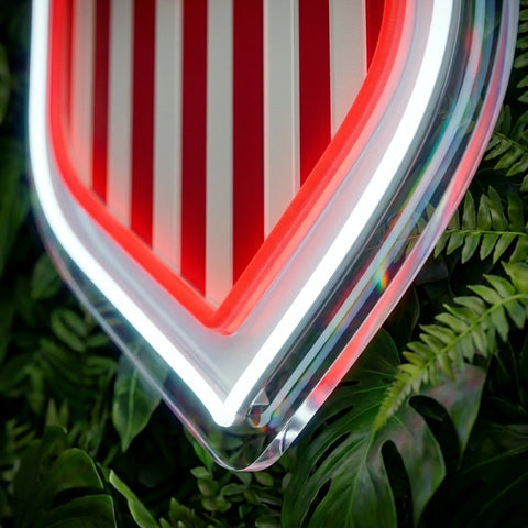USA World Cup Neon Sign